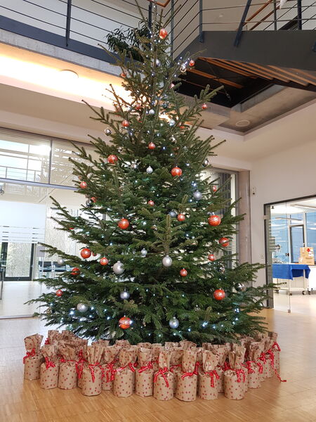 Christmas at QUBUS and IFO